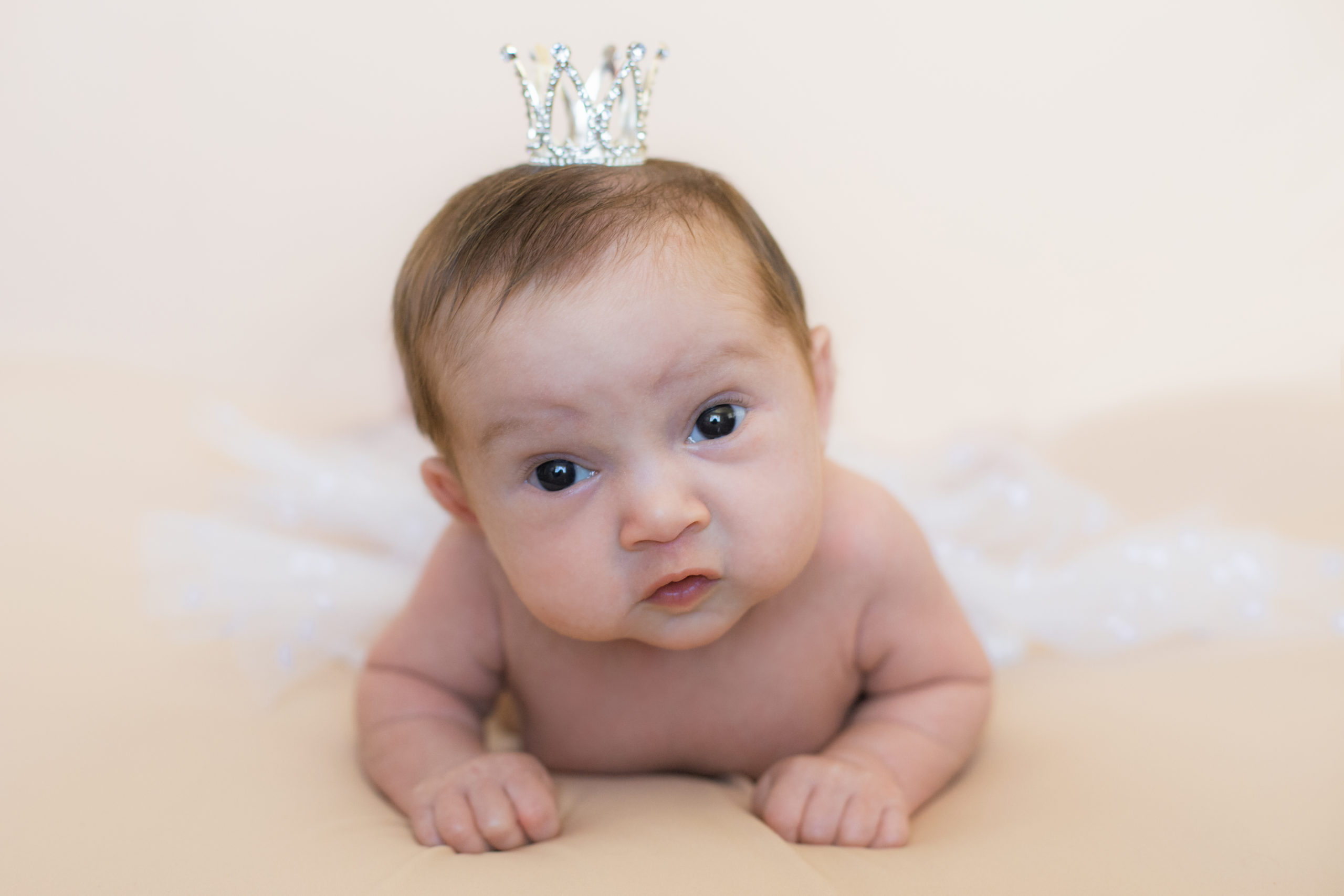 newborn baby studio portrait san jose