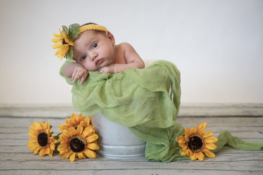 Newborn baby photography portraits san jose california