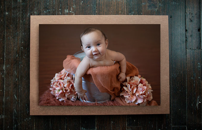 newborn baby studio photography wall art san jose