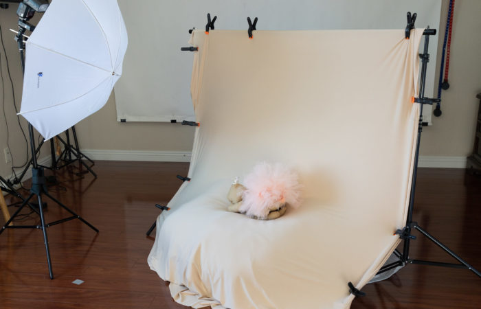 studio setup newborn photography san jose