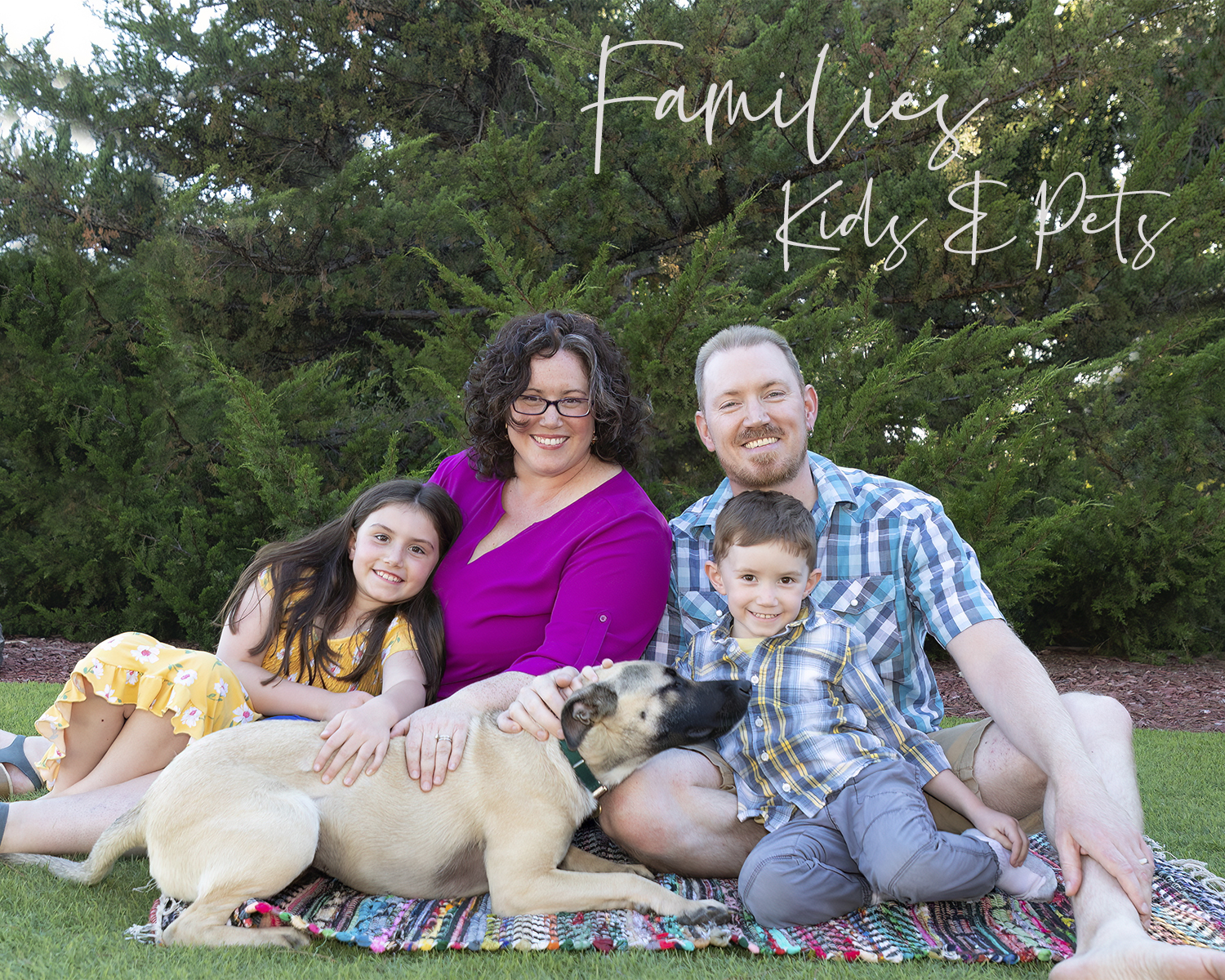 Families Kids Individuals Pets Portfolio